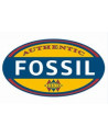 Fossil